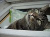 DSC01229.JPG