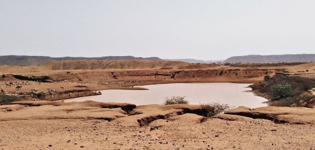 Hafir_pic.JPG