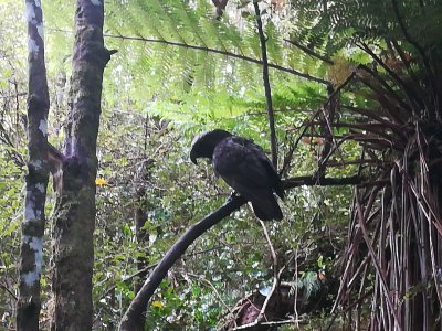 IMG_20230101_100418.jpg
