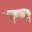 Pig_S_small.jpg