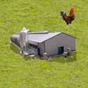 PoultryFarm_LG.jpg