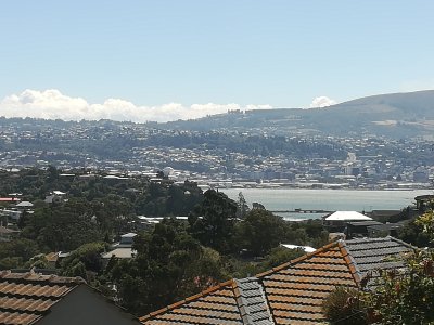 IMG_20230131_144928.jpg