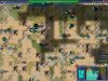 RB4_Greek_oil.JPG