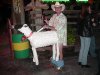 Sheepguy33.jpg