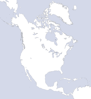UDII - Blank.png