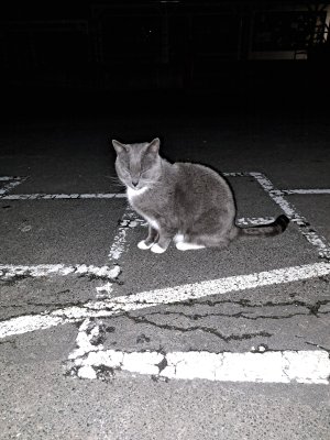 20230717_190454.jpg