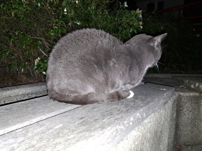 20230717_194946.jpg