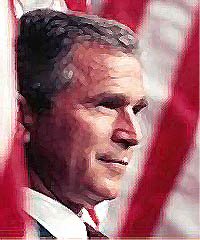 bush.jpg