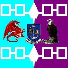 iroflag.jpg
