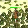 minuteman.jpg