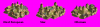 setsk.PNG