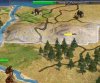 injured_forest.JPG