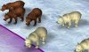 PolarBear.jpg