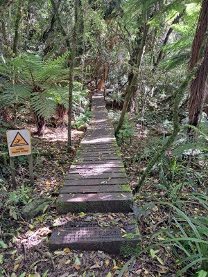 20231125_094632.jpg