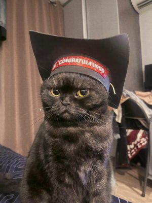 20231130_194915.jpg