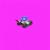 preview.gif