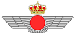 1920px-Emblem_of_the_Spanish_Air_Force.svg.png