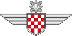 Badge_of_Croatian_Air_Force_Legion.svg.png