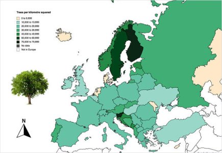 Tree coverage.jpg
