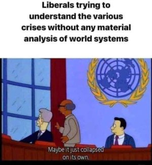 FB_IMG_1710421787654.jpg