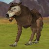 wolf.jpg