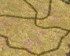 screen-muddypath.jpg