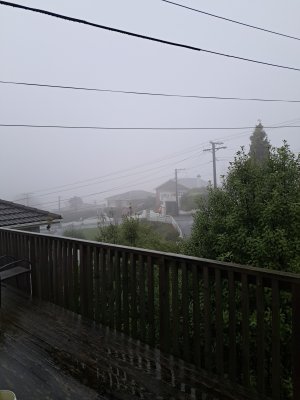 20240615_162334.jpg