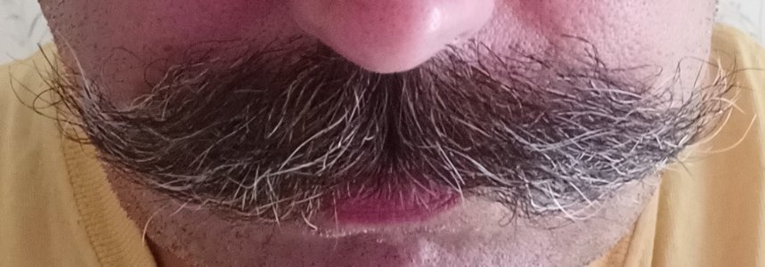 unkempt.jpg
