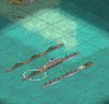 fleet.jpg
