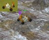 Rover.JPG