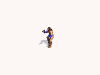 warriorAttackC_SW.gif