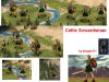 Celtic_swoardsman.jpg