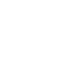 Zamasuism256.png