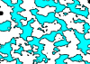 ranmap.png