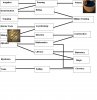 Ancient.jpg