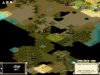 AI.JPG