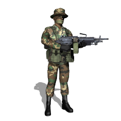 US Special Forces.png