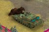 Bear-MA.jpg