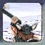bearman.jpg