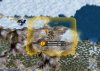 rhye - spanish colony.JPG