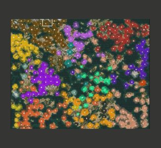 worldmap enlarged.jpg