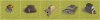 NewBuildings3.jpg