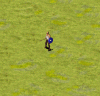 Preview.gif