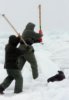 sealhunt.jpg