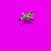 Camo.gif