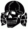 skull_150.gif