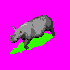 RhinoRun.gif