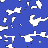 ranmap.png