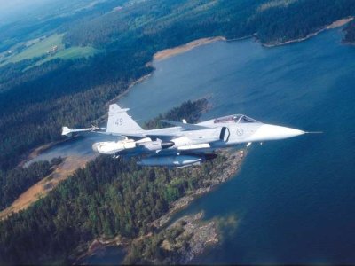 gripen_over_trees.jpg