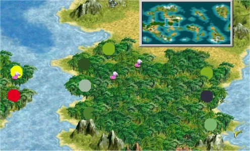 jungle dots.jpg